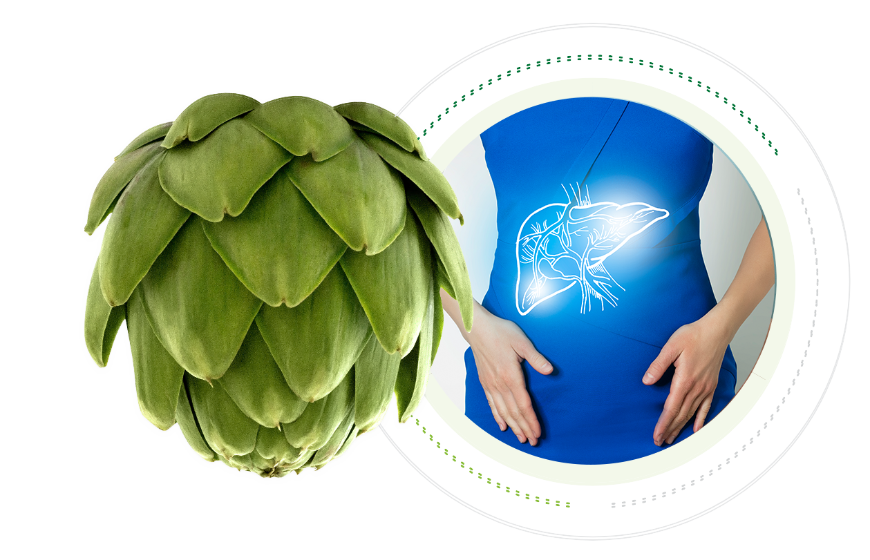 Image-Plant